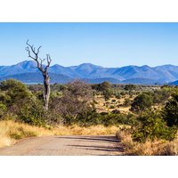 34 Tage Kreuzfahrten Transafrika: Kreuzfahrt von Venedig bis Durban inkl. Südafrika-Rundreise 34 Tage Kreuzfahrten Transafrika: Kreuzfahrt von Venedig bis Durban inkl. Südafrika-Rundreise