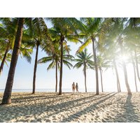 24 Tage Kreuzfahrten USA, Karibik & Südamerika: Kreuzfahrt mit der MSC Poesia ab/an Miami 24 Tage Kreuzfahrten USA, Karibik & Südamerika: Kreuzfahrt mit der MSC Poesia ab/an Miami