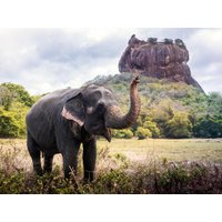 1 Woche Rundreisen Sri Lanka: UNESCO-Stätten, Safari & Löwenfelsen 1 Woche Rundreisen Sri Lanka: UNESCO-Stätten, Safari & Löwenfelsen