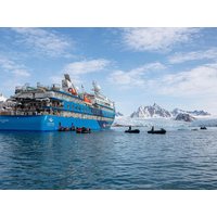 10 Tage Kreuzfahrten Dänemark – Kopenhagen & Grönland: Arktis-Expeditionskreuzfahrt mit Ocean Albatros ab/an Kangerlussuaq inkl. Zodiac-Fahrten 10 Tage Kreuzfahrten Dänemark – Kopenhagen & Grönland: Arktis-Expeditionskreuzfahrt mit Ocean Albatros ab/an Kangerlussuaq inkl. Zodiac-Fahrten