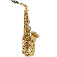 Elkhart 100AS Schüler-Altsaxophon - Fast neu