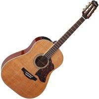 CRN-TS1 Takamine Dreadnought Elektro-akustische Natural Gloss Glanz