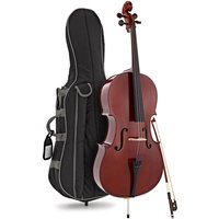 Primavera 100 Cello OutfitFull Size Gold Level Set up