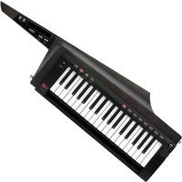 Korg RK100S2 Keytar schwarz