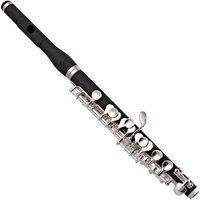 Trevor James 5X Piccolo