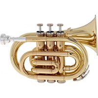 Stagg TR245S Taschen-Trompete Lacquer