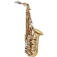Theo Wanne Shakti Altsaxophon