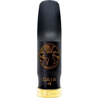 Theo Wanne Gaia 4 Alto Saxophon-Mundstück Hartgummi 6