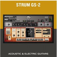 AAS Strum GS-2