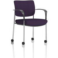 Brunswick Deluxe Chrome Frame Back Seat Purple With Arms/Castors
