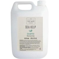 Sea Kelp Shampoo 5 Litre