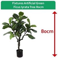 Fixtures Artificial Green Ficus Iyrata Tree 80cm