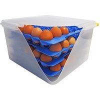 Araven Airtight Container with 4 Egg Trays GN 2/3 200mm