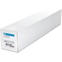 HP Everyday Matte Polypropylene Roll 1067mmx30.5m 120gsm Pack of 2