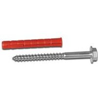 5 Star 12x100mm Rawl Bolts for Protection Guards
