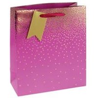 Eurowrap Ombre Medium Gift Bags (Pack of 6)