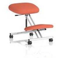 Kneeling Stool Silver Frame Bespoke Colour Quest Crab KCUP3957