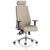 Onyx Ergo Posture Chair Adjustable Arms Headrest Back Seat Quest Salt