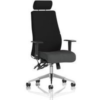 Ergo Posture Chair Adjustable Arms Headrest Seat Quest Mussel