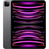 iPad Pro 11" (2022) 4th gen 128 GB - Wi-Fi - Space Gray