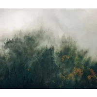Fotobehang Tales Of The Carpathians - Groen - 2,50m X 300cm