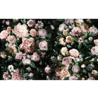 Victoria Fotobehang Black - Zwart - 2,50m X 400cm
