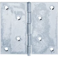 Alberts Scharnier Verzonken Schroefgaten Rolbaar + Vastgeklonken Rvs Pen 100x100x1,25mm