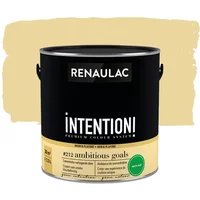 Renaulac Intention Muurverf - Extra Mat - Ambitious Goa - 2,5l