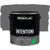 Renaulac Intention Muurverf - Extra Mat - Feelin' Strong - 2,5l