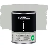 Renaulac Intention Muurverf - Extra Mat - Intense Breath - 125ml