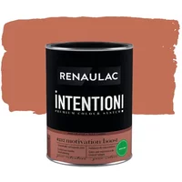 Renaulac Intention Muurverf - Extra Mat - Motivation Boost - 1l