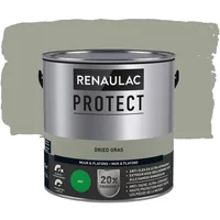 Renaulac Protect Muurverf - Mat - Dried Grass - 2,5l