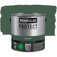 Renaulac Protect Muurverf - Mat - Rosemary - 2,5l