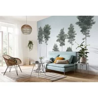 Fotobehang Pines - Groen - 2,80m X 400cm