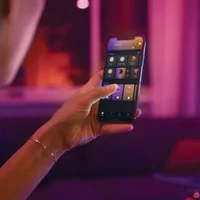 Philips Hue Hanglamp Ensis Zwart 79w