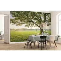 Fotobehang The Magic Tree - Meerkleurig - 2,80m X 450cm