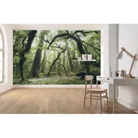 Fotobehang Ancient Green - Groen - 2,80m X 450cm