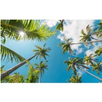 Vanilla Lime Fotobehang Coconut Heaven Ii - Meerkleurig - 2,80m X 450cm