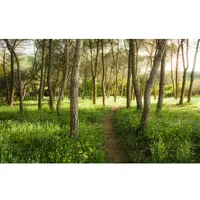 Blutenz Fotobehang - Meerkleurig - 2,80m X 450cm
