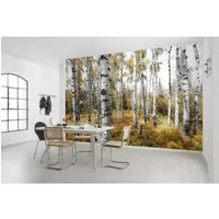 Fotobehang Colorful Aspenwoods - Meerkleurig - 2,80m X 450cm