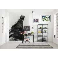 Komar Fotobehang Kylo Vader Shadow - Zwart - 2,80m X 200cm