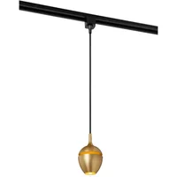 Lucide Track Hanglamp Preston Messing Gu10