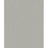Vliesbehang Uni - Taupe - Grijs - 10,05 M X 53 Cm