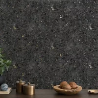 Easy Décor Vliesbehang Pleister - Zwart - Goud - 10,05 M X 52 Cm