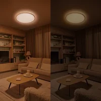 Philips Plafondlamp Valen - Wit - 29cm - Aanpasbaar Wit - 16w