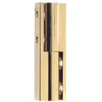 Vynex Paumelle Scharnier - Gepolijst Messing - 50 Mm - 2 Stuks