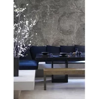 Fotobehang Craquelé Beton 14240 - Antraciet - 2,70m X 300cm