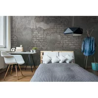 Fotobehang Vanilla Lime Oude Muur Grijs - 2,70m X 450cm