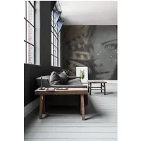 Fotobehang Vrouwengezicht Met Veren 14180 - Grijs - Goud - 2,70m X 300cm