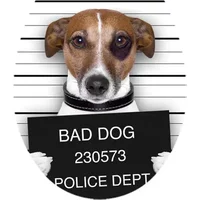 Aquavive Wc-bril Bad Dog - Duroplast - Softclose - Verstelbaar - Met Hondenprint